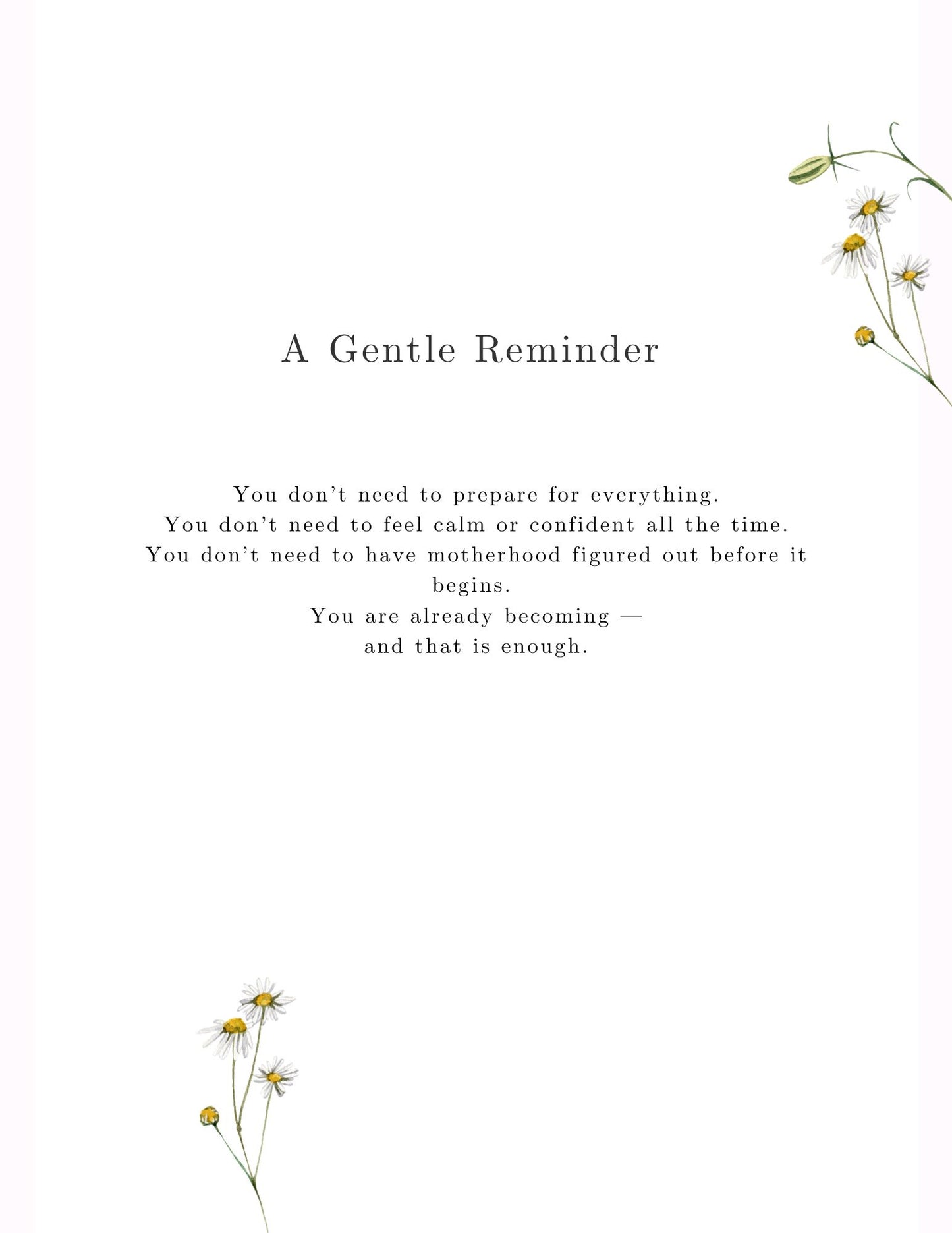 Pregnancy to Motherhood Transition Pack
